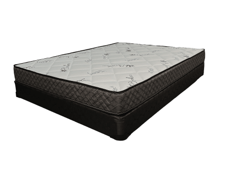 Dreamopedic - Comfort Tight Top Mattress - Royal Living Furniture